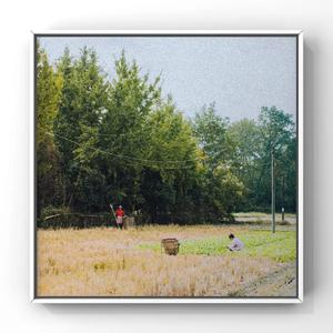 性乂X❌XFree❌乂
